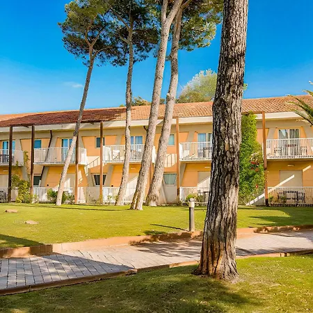 Hotel Hotiday Collection - Calambrone